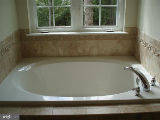 1800 Rileys Court South Point of Rocks, MD 21777 - Photo 3 of 12 Bath (Master)