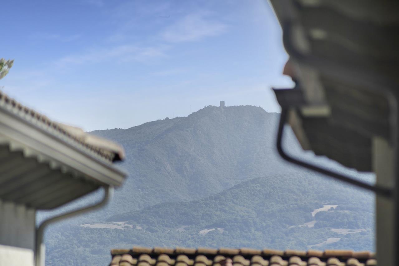 3079 Manuel Loop San Jose, CA 95136 - Photo 38 of 64