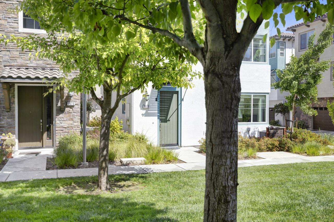 3079 Manuel Loop San Jose, CA 95136 - Photo 4 of 64 a view of a house with a tree in a yard