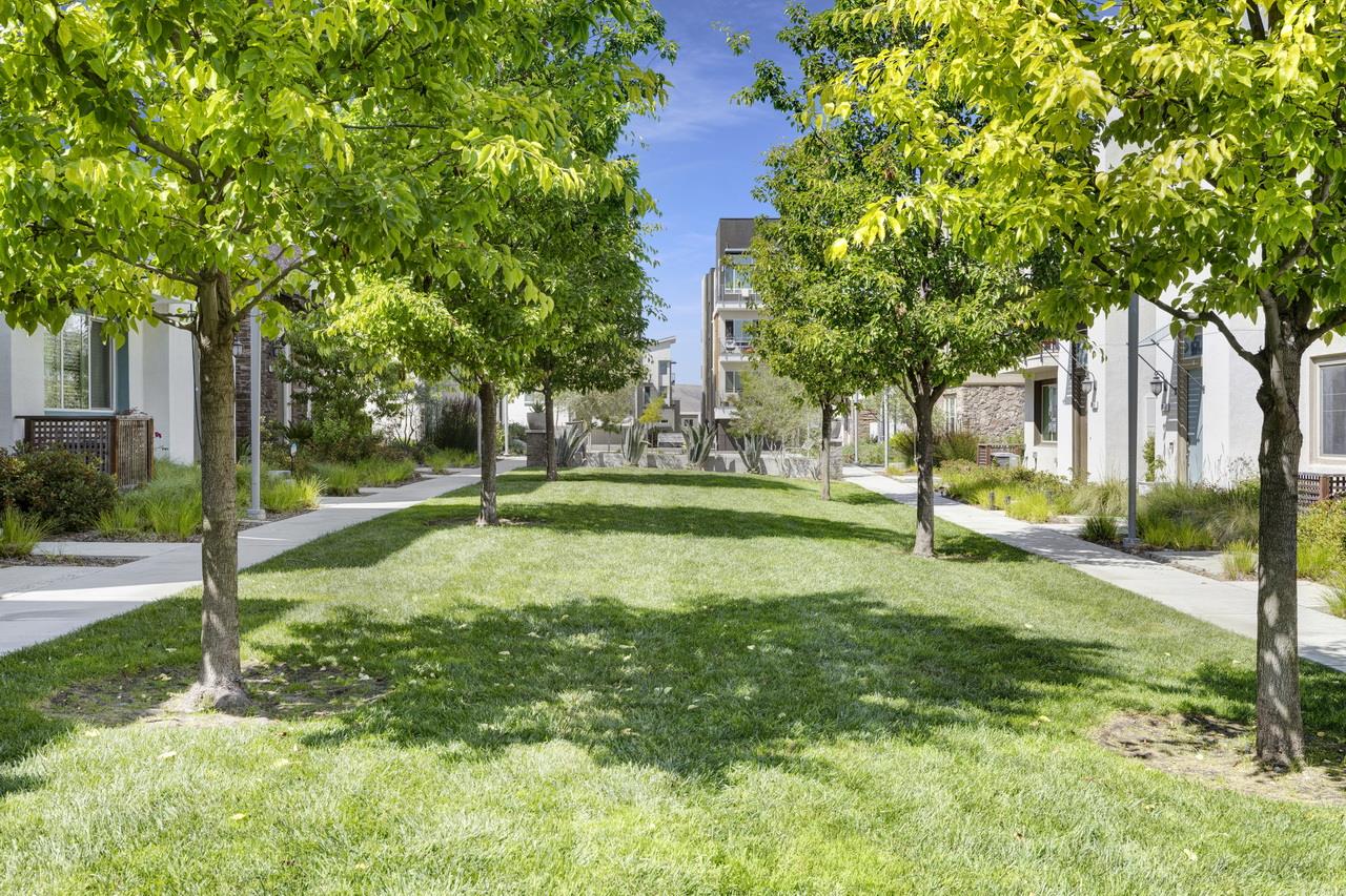 3079 Manuel Loop San Jose, CA 95136 - Photo 49 of 64 a view of a park with large trees