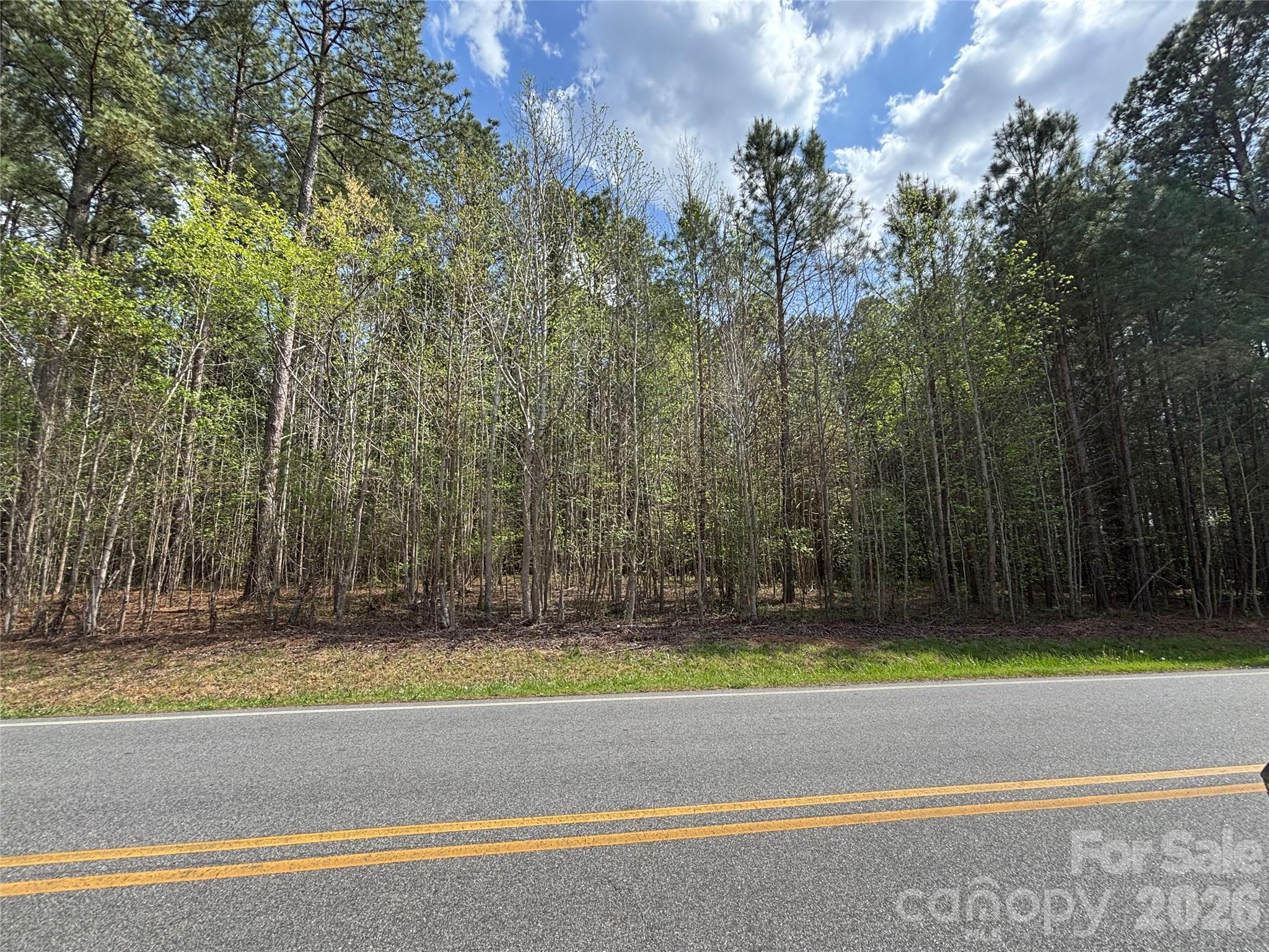 Vac Bowers Road Norwood, NC 28128 - Photo 3 of 7