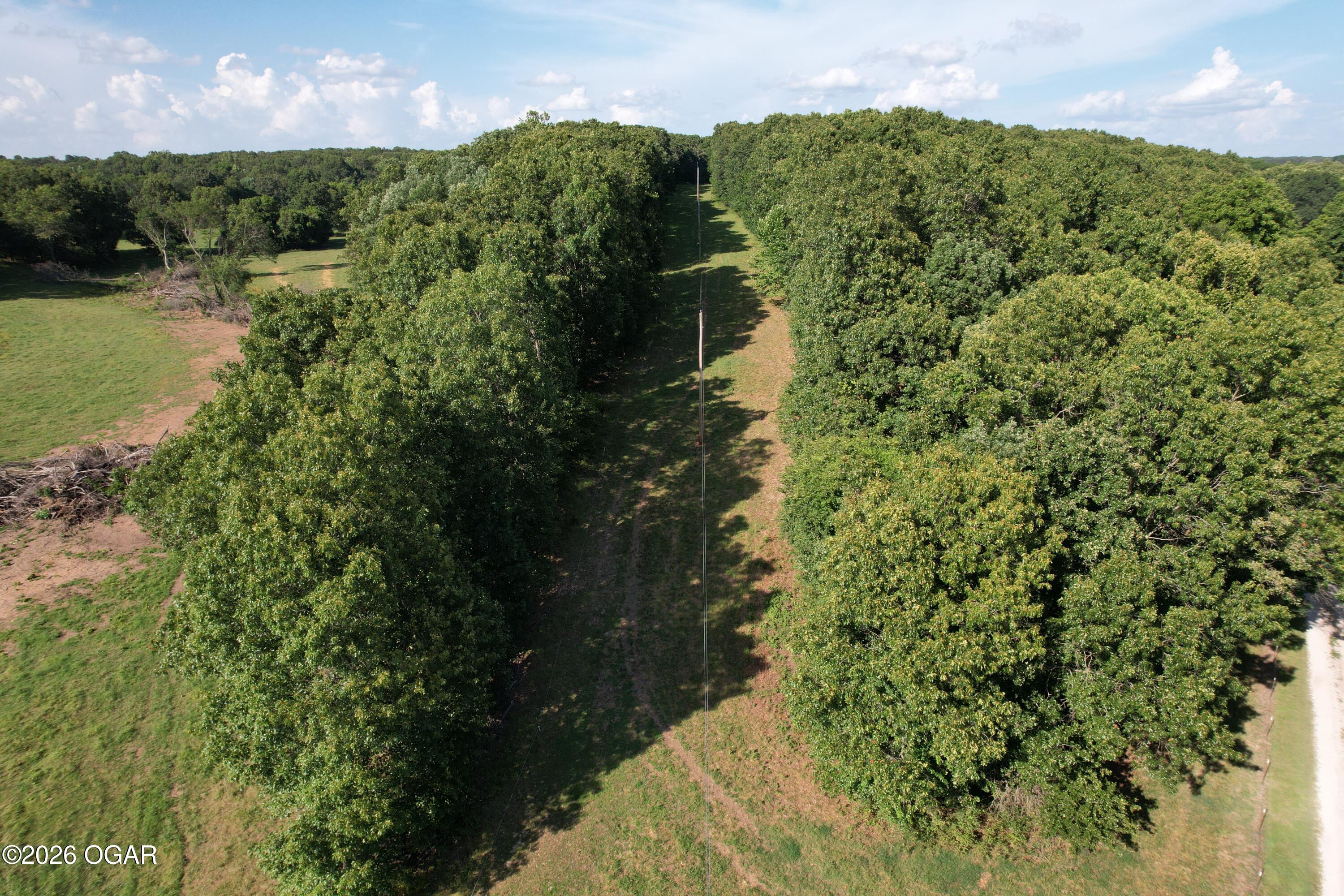 6731 Raccoon Road Pierce City, MO 65723 - Photo 8 of 103 Gallery Image 8