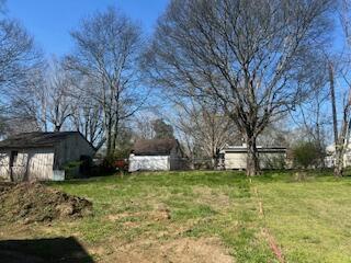 0 Hall Street LaFayette, GA 30728 - Photo 8 of 9 back yard