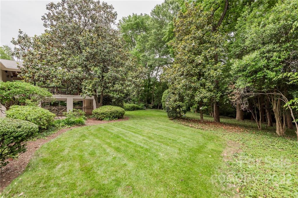 2815 Wickersham Road Charlotte, NC 28211 - Photo 31 of 34 a view of a backyard with potted plants and large trees