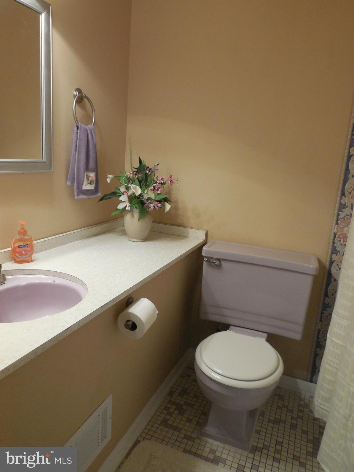 418 Highmeadow Road Reisterstown, MD 21136 - Photo 16 of 30 Long Vanity Lots of Mirrors