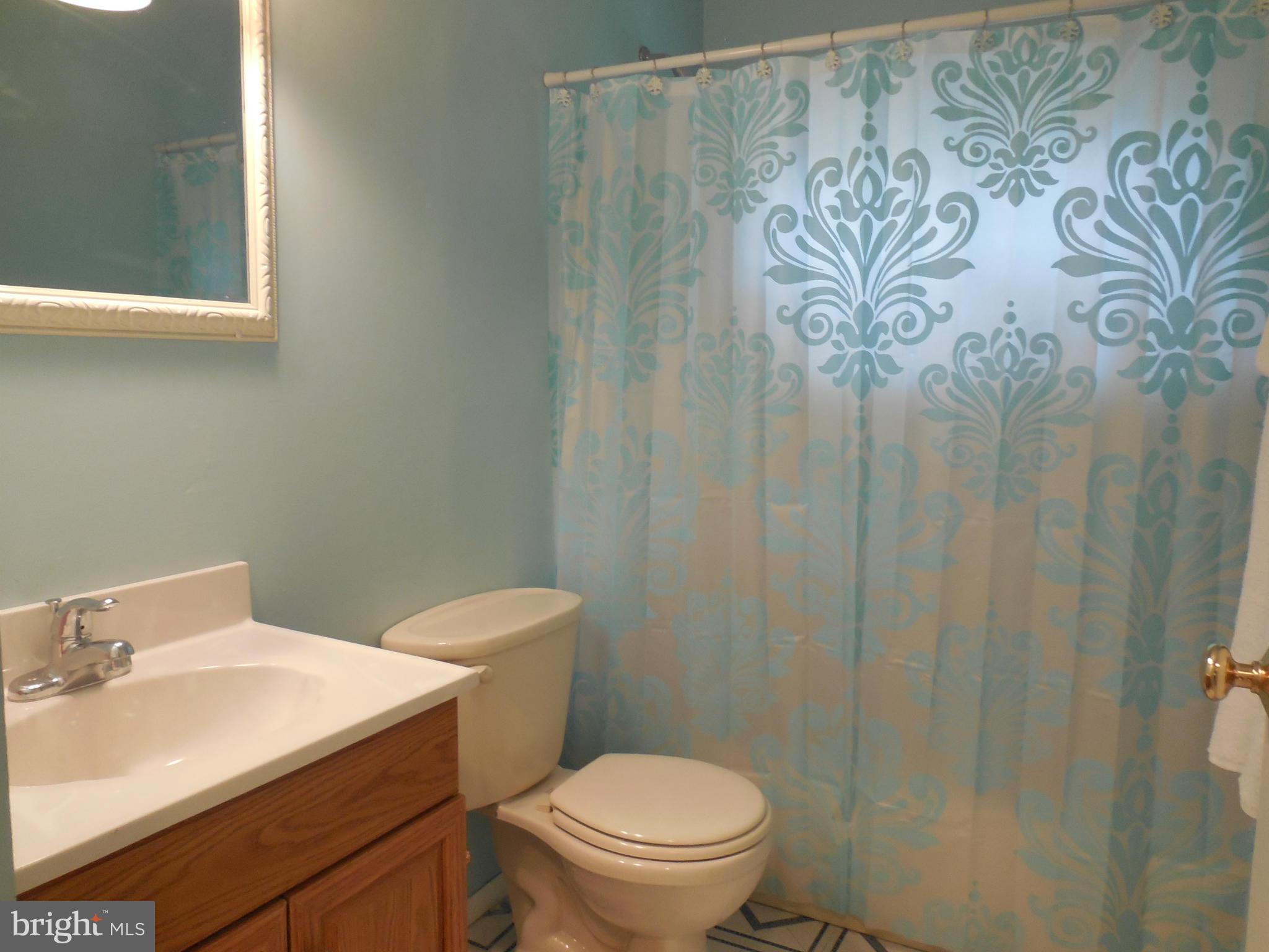 418 Highmeadow Road Reisterstown, MD 21136 - Photo 21 of 30 Hall Bath