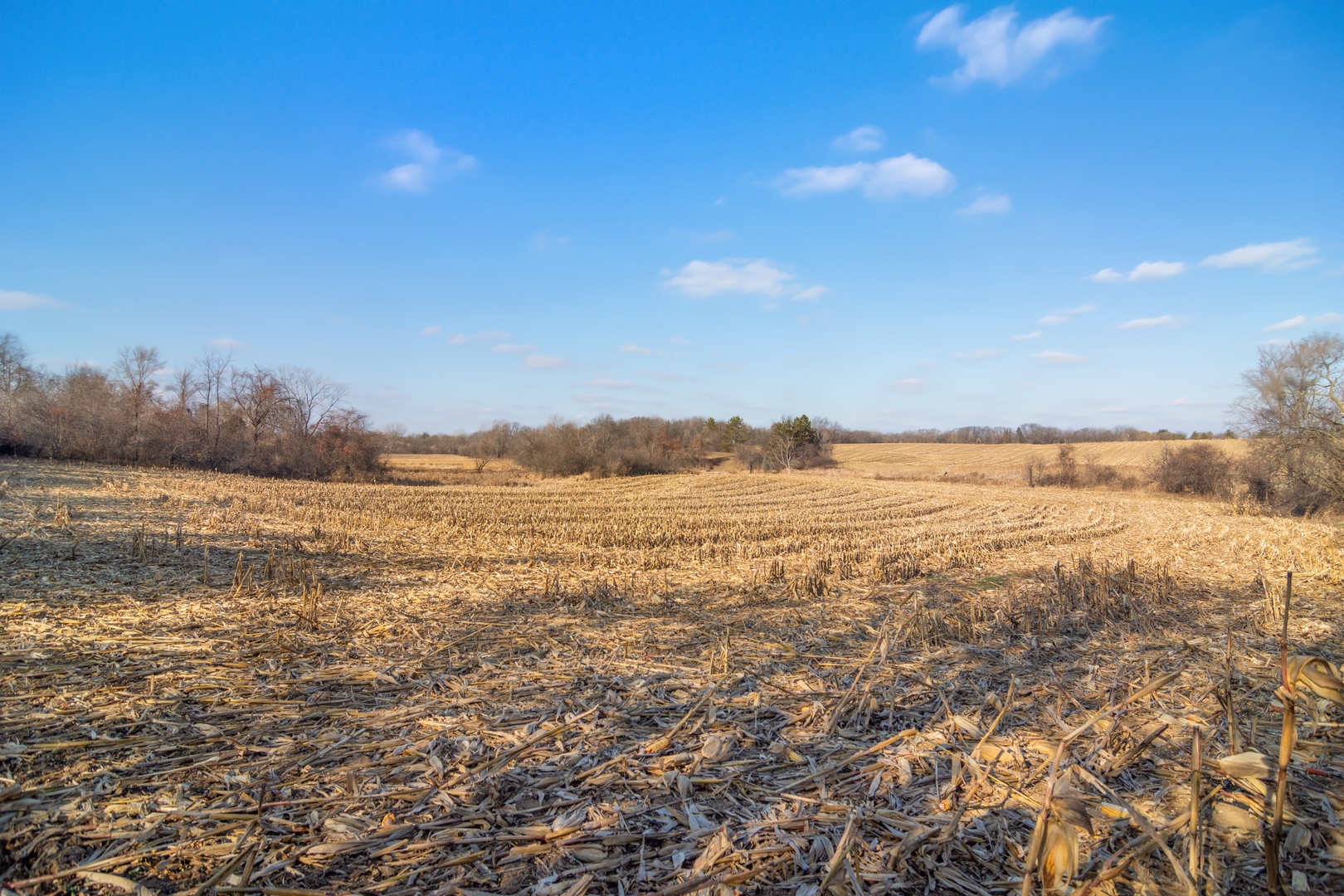 19925 Indian Creek Road Long Grove, IL 60047 - Photo 12 of 29 a view of an ocean