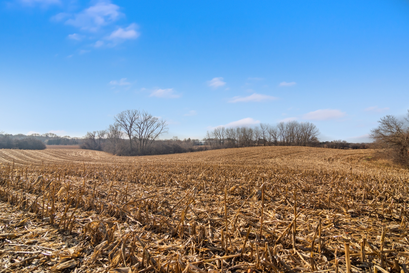 19925 Indian Creek Road Long Grove, IL 60047 - Photo 14 of 29 a view of lake and mountain