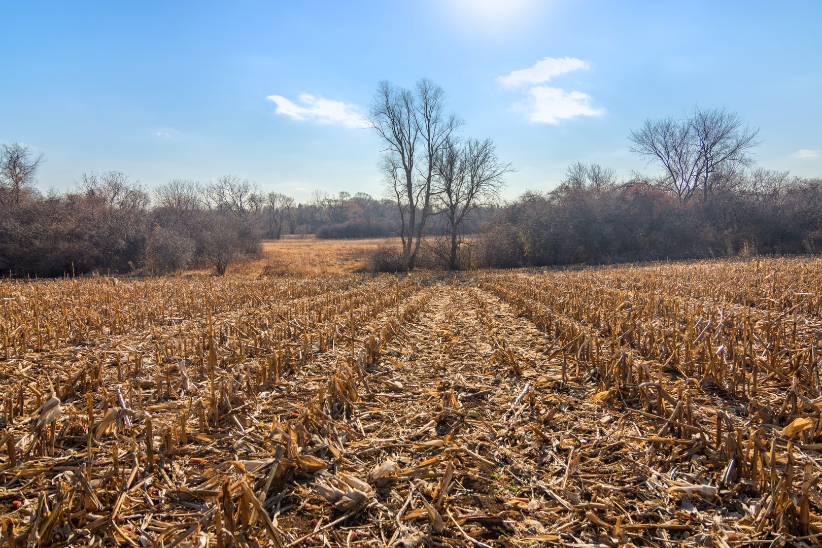 19925 Indian Creek Road Long Grove, IL 60047 - Photo 15 of 29 a view of dirt field