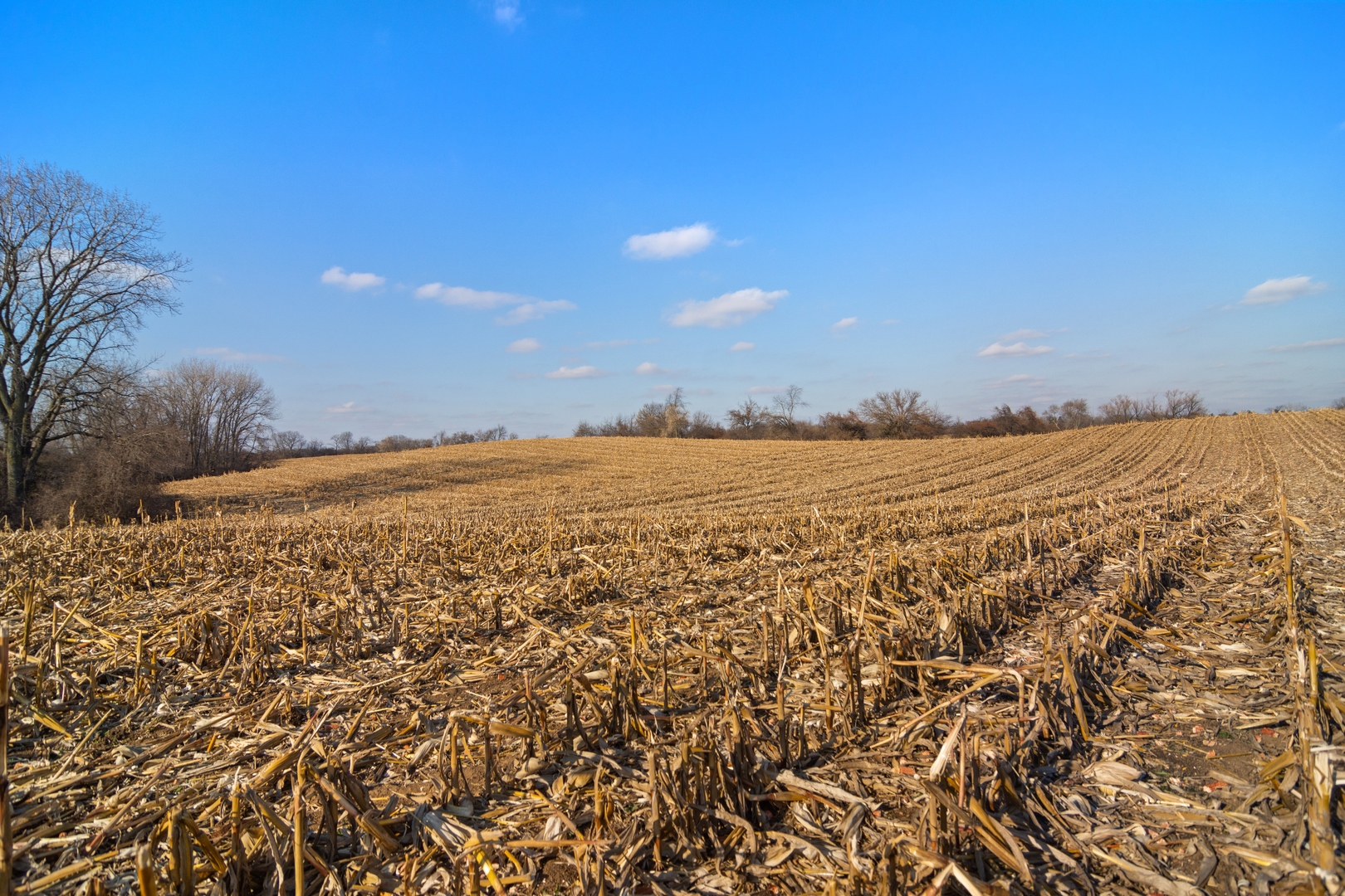 19925 Indian Creek Road Long Grove, IL 60047 - Photo 16 of 29 a view of an ocean