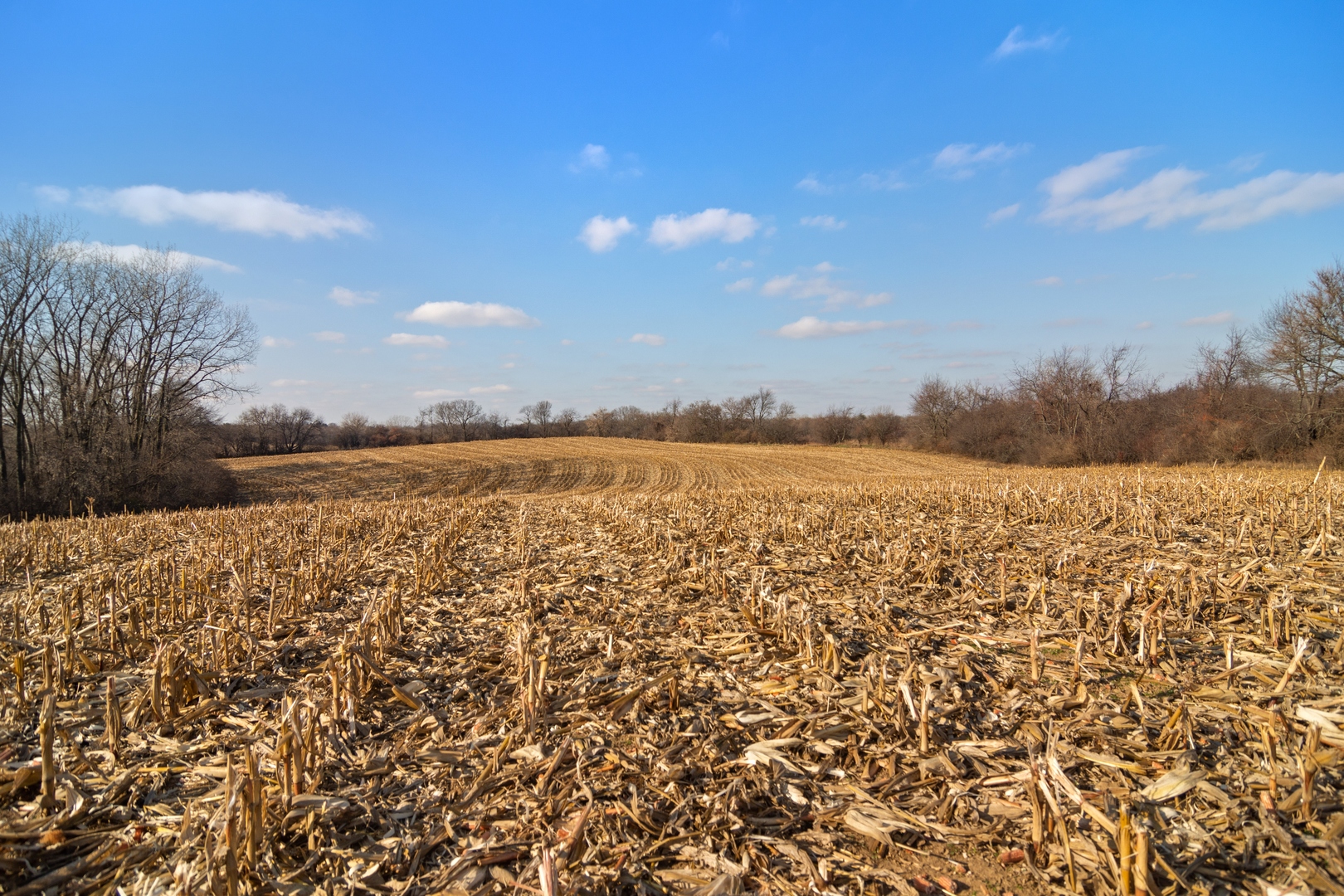 19925 Indian Creek Road Long Grove, IL 60047 - Photo 18 of 29 a view of an ocean