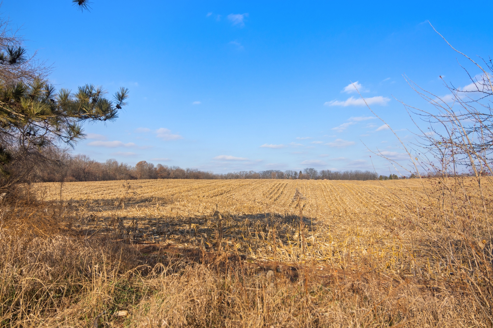 19925 Indian Creek Road Long Grove, IL 60047 - Photo 20 of 29 a view of an ocean