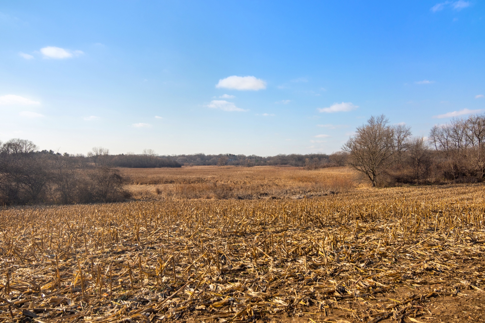 19925 Indian Creek Road Long Grove, IL 60047 - Photo 21 of 29 a view of lake and mountain