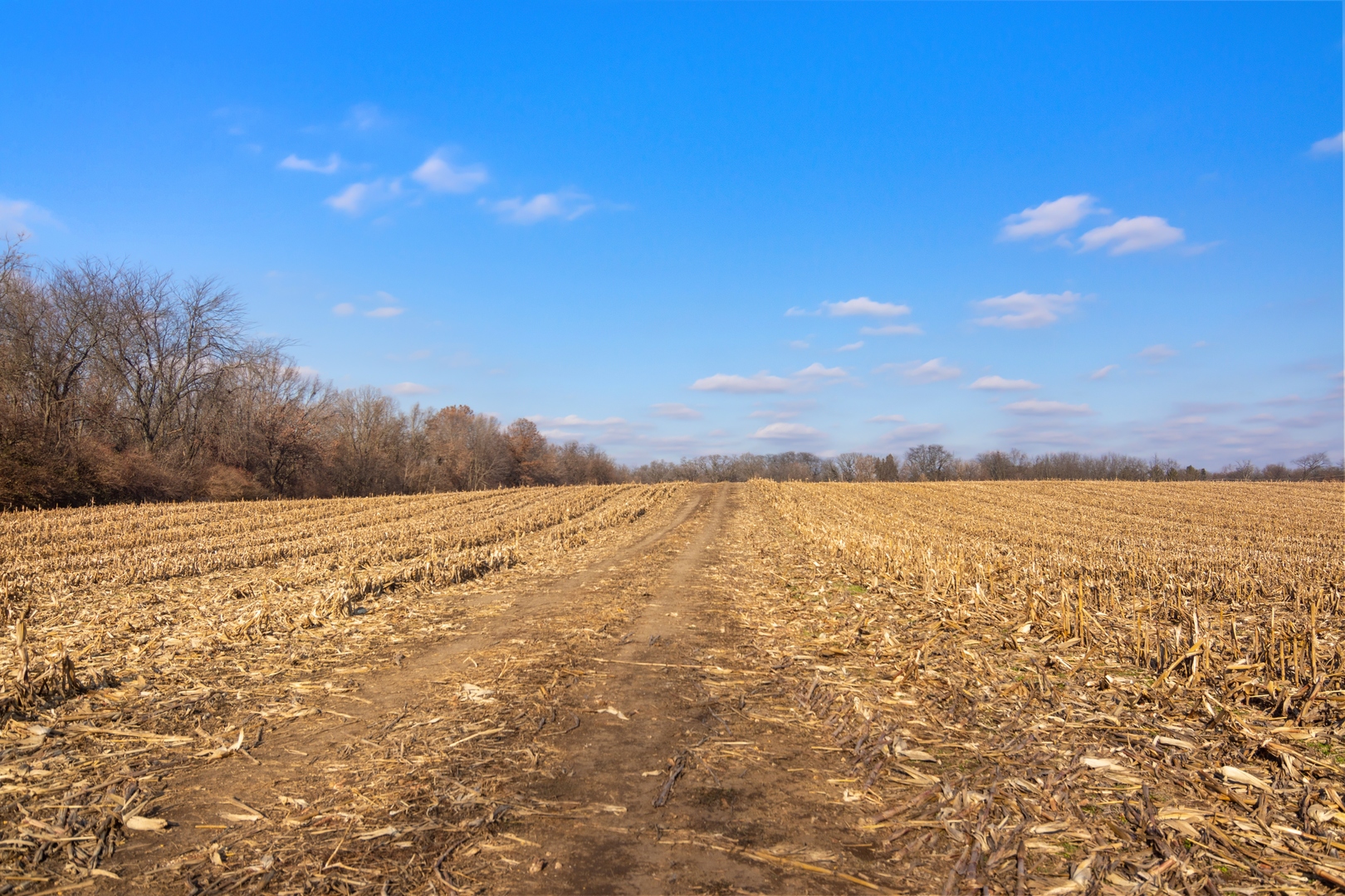 19925 Indian Creek Road Long Grove, IL 60047 - Photo 22 of 29 a view of an ocean