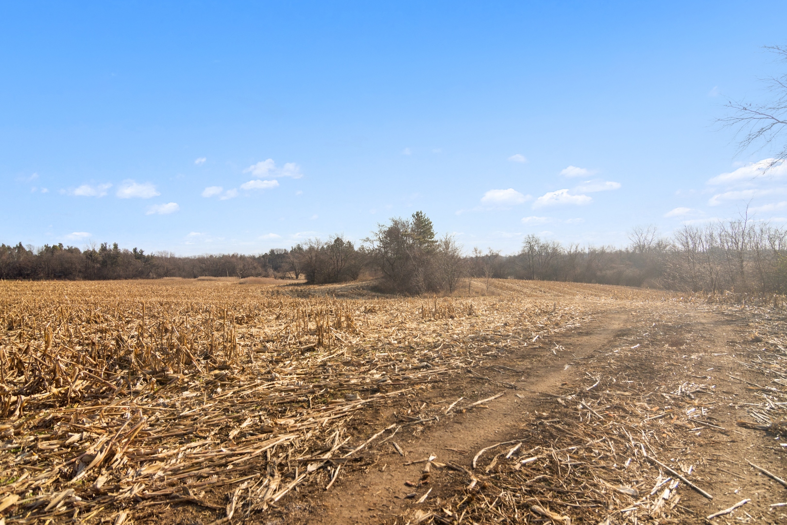 19925 Indian Creek Road Long Grove, IL 60047 - Photo 23 of 29 a view of lake and mountain