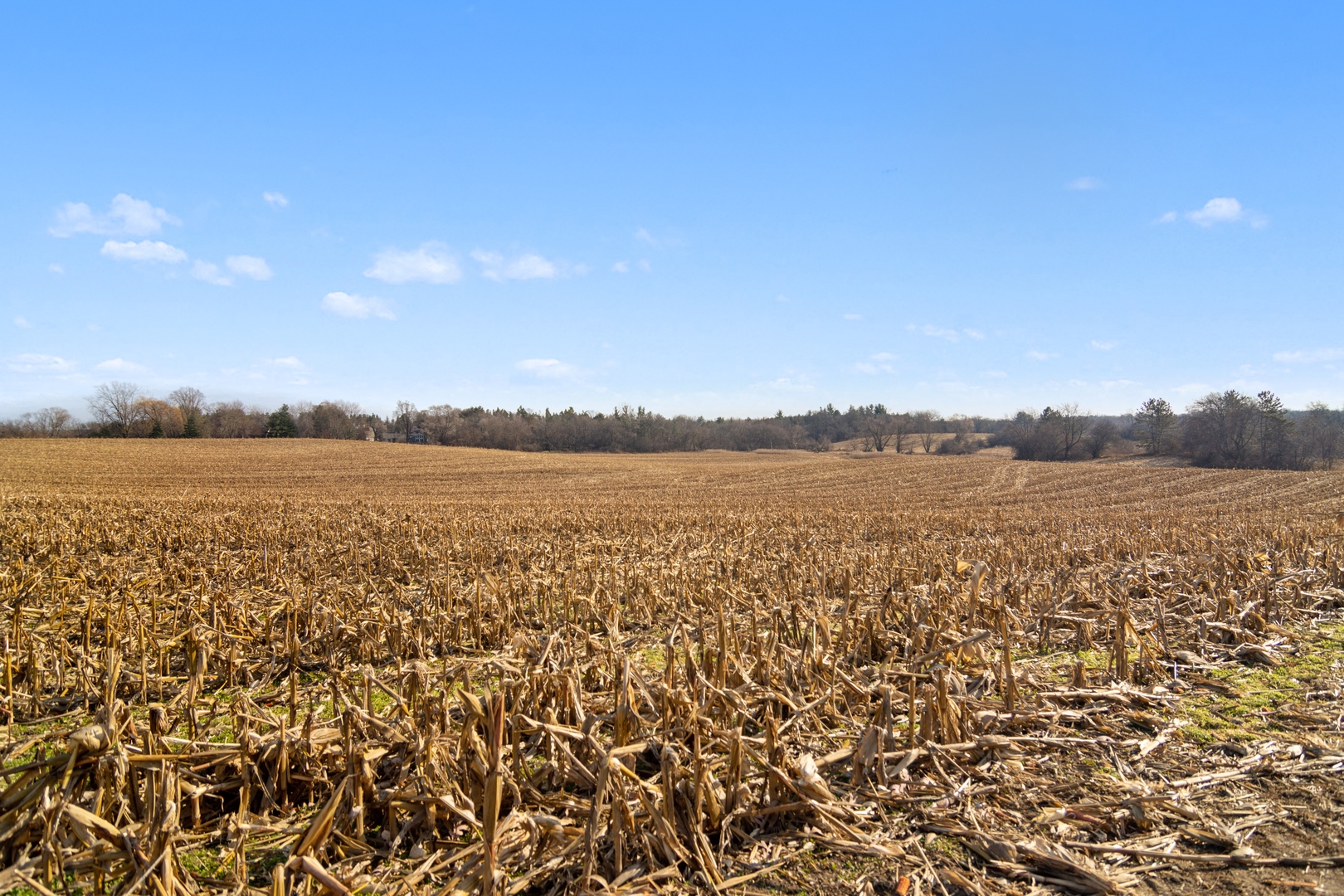 19925 Indian Creek Road Long Grove, IL 60047 - Photo 24 of 29 a view of lake and mountain