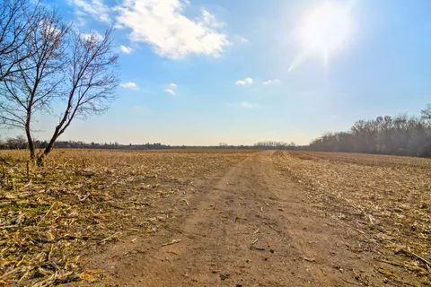 a view of yard with trees