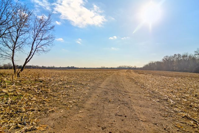 a view of yard with trees