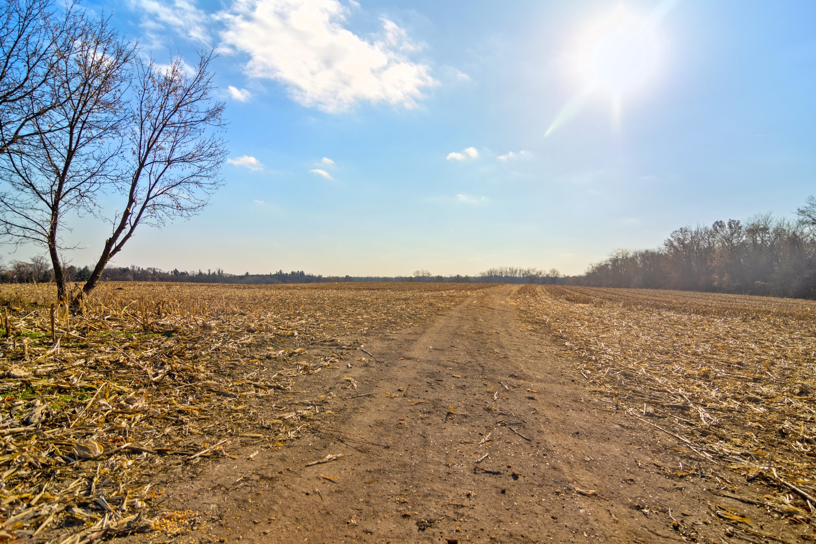 19925 Indian Creek Road Long Grove, IL 60047 - Photo 27 of 29 a view of an ocean