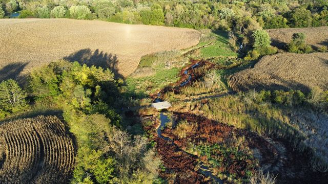 a view of a tree in front of a yard