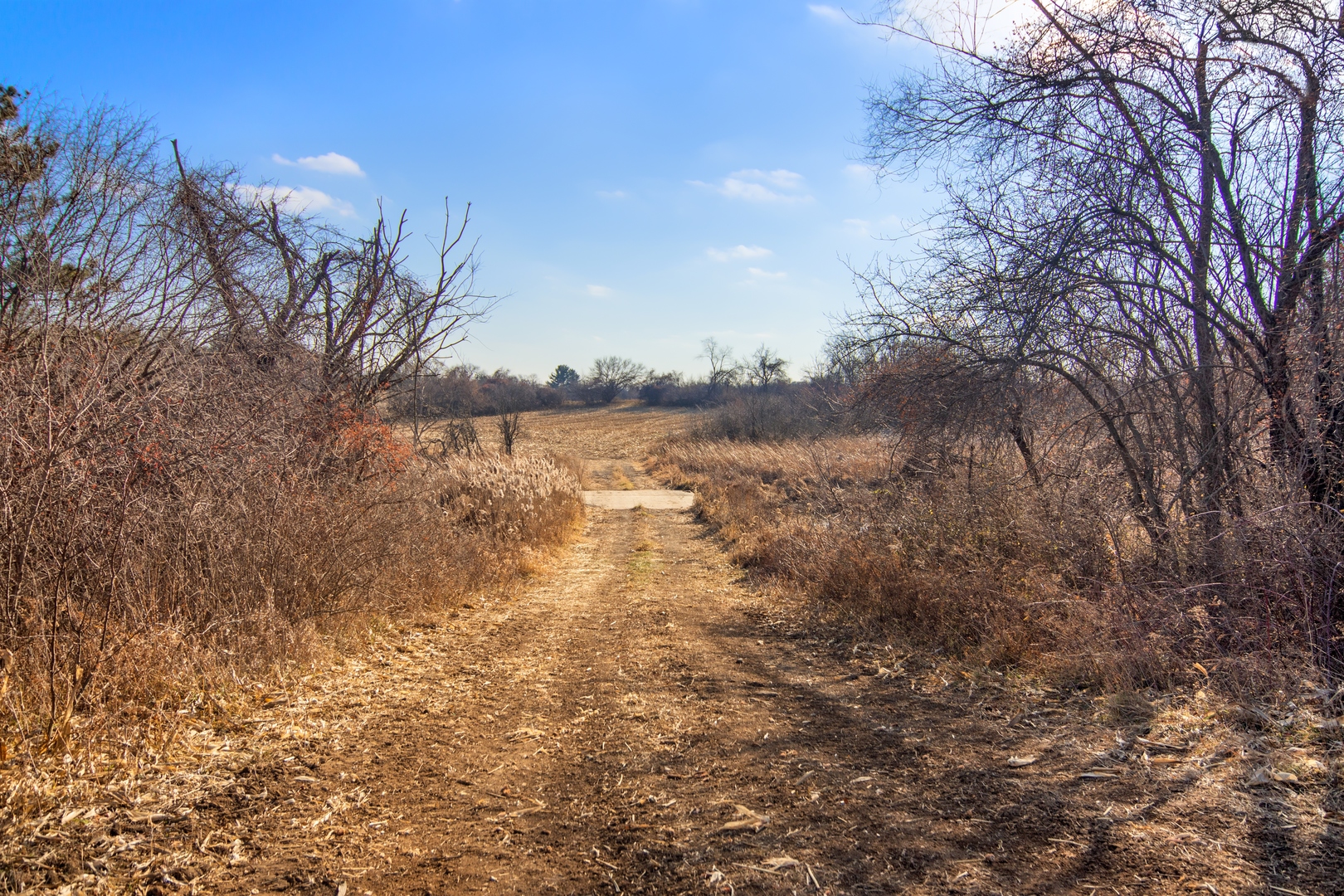 19925 Indian Creek Road Long Grove, IL 60047 - Photo 8 of 29 a view of lake with mountain view
