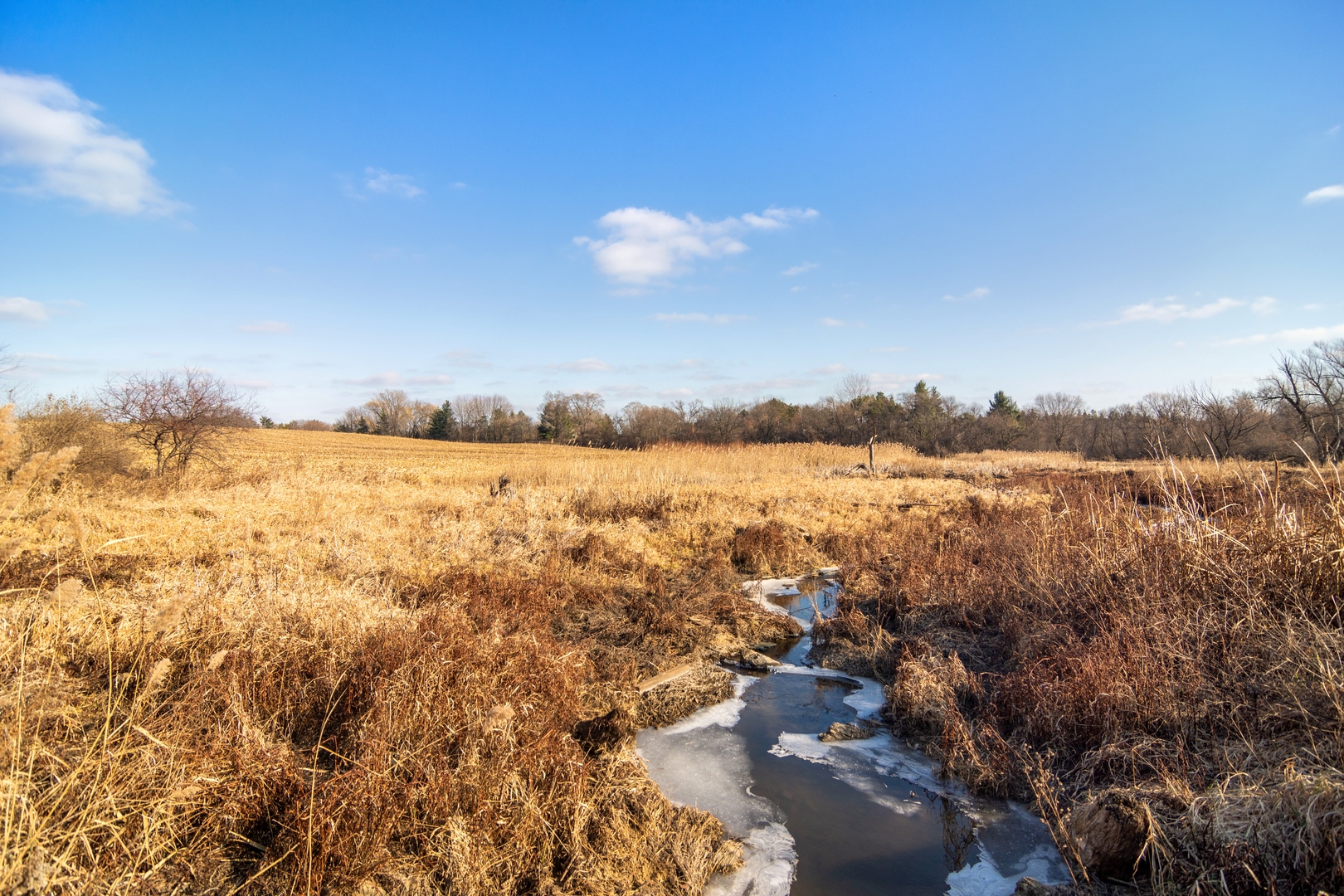19925 Indian Creek Road Long Grove, IL 60047 - Photo 9 of 29 a view of lake and mountain