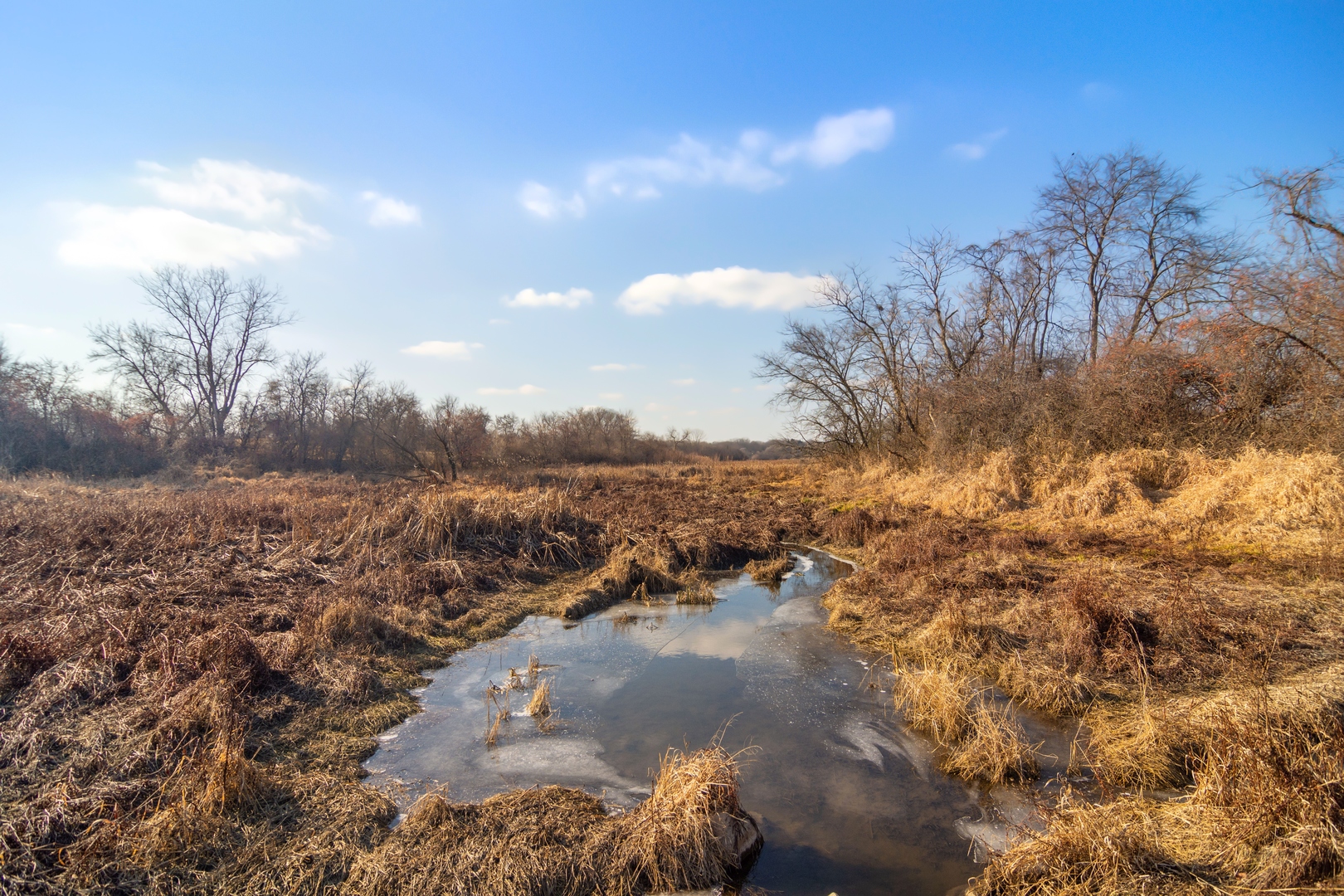 19925 Indian Creek Road Long Grove, IL 60047 - Photo 10 of 29