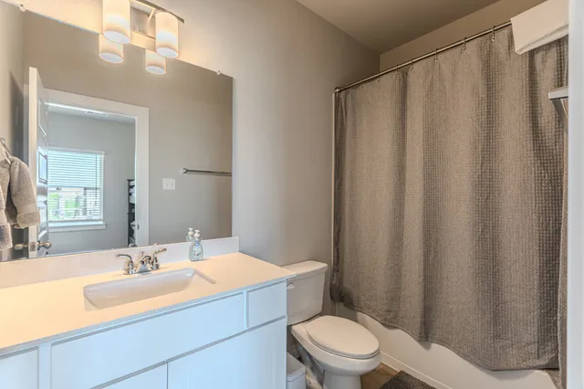 a bathroom with a sink a toilet a mirror and shower curtain