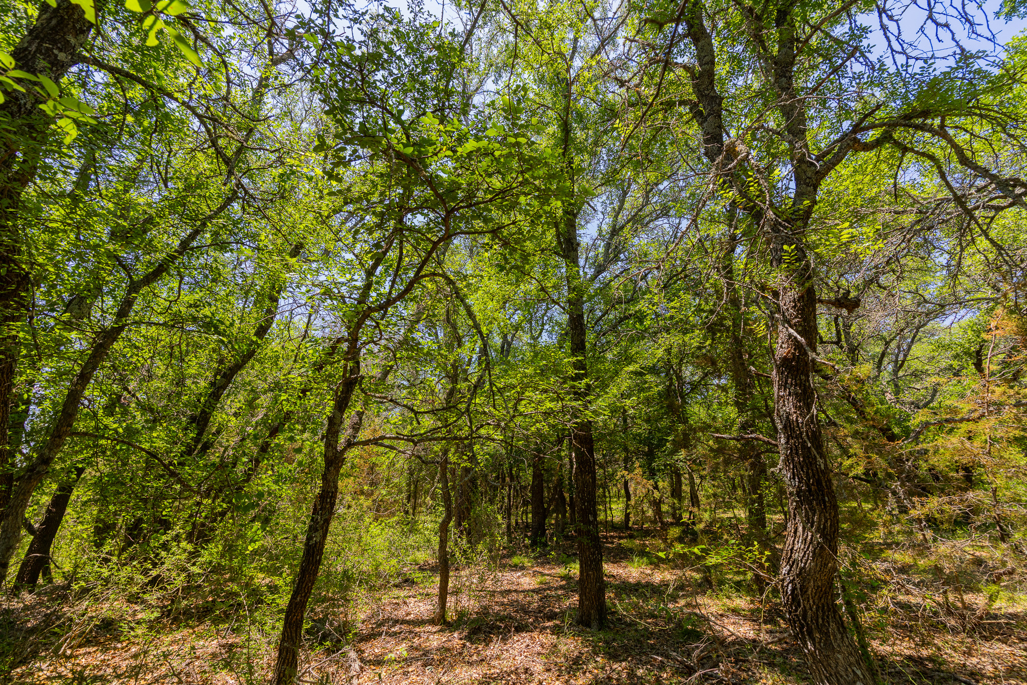 180 72 Ac Road Purmela, TX 76566 - Photo 25 of 33