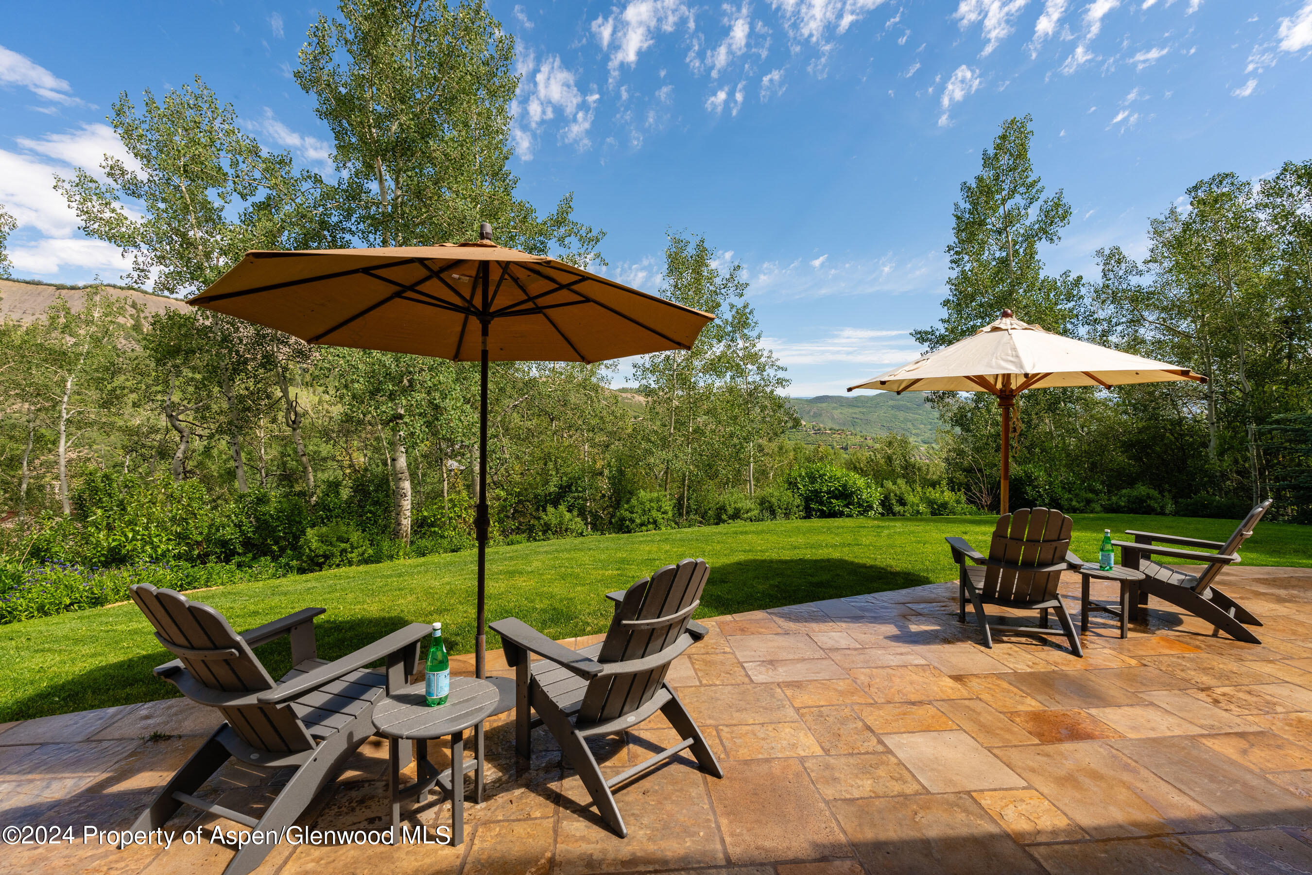 439 Maple Ridge Lane Snowmass Village, CO 81615 - Photo 28 of 42 Back Patio and Yard