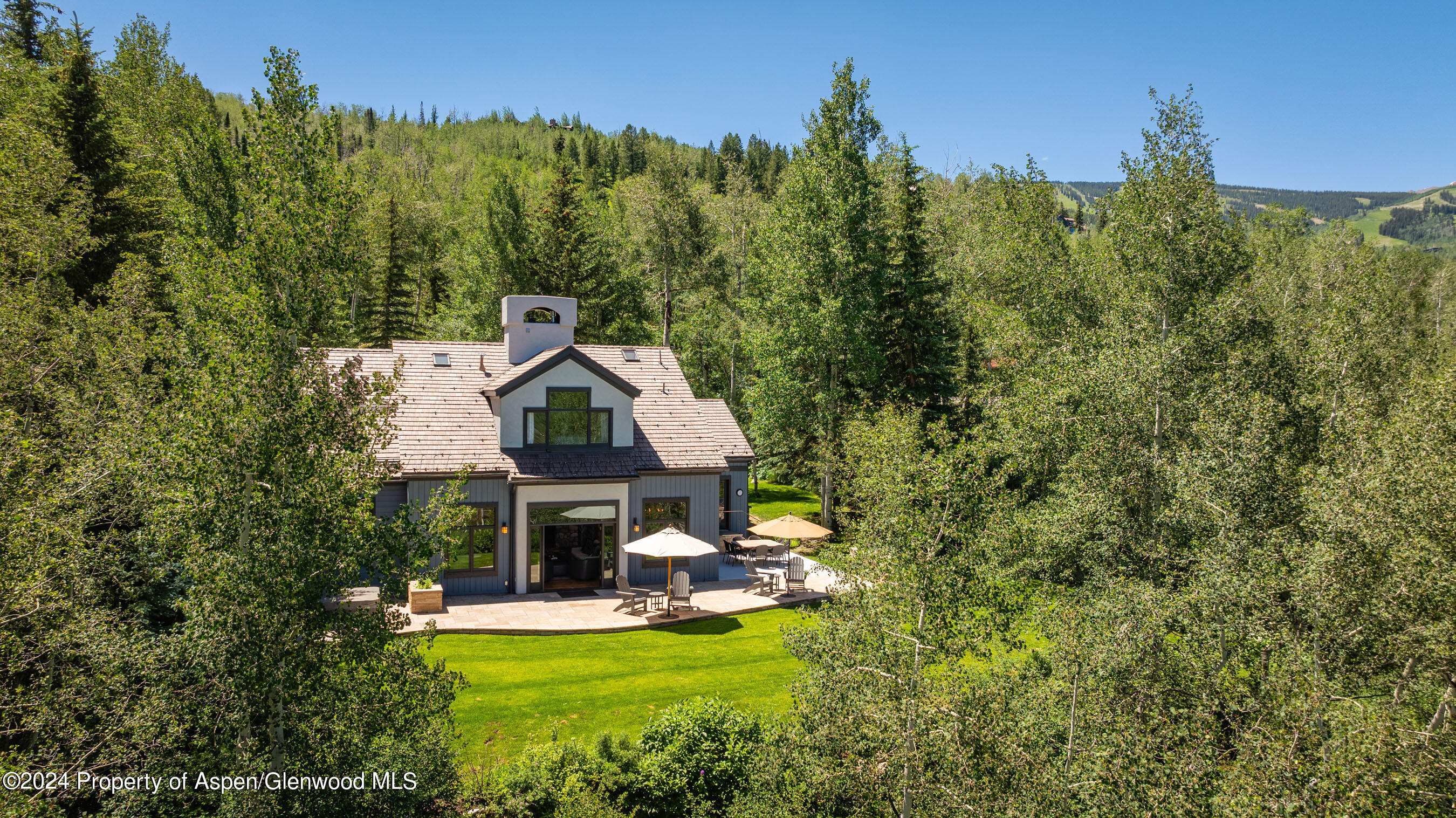 439 Maple Ridge Lane Snowmass Village, CO 81615 - Photo 41 of 42 Back of Home
