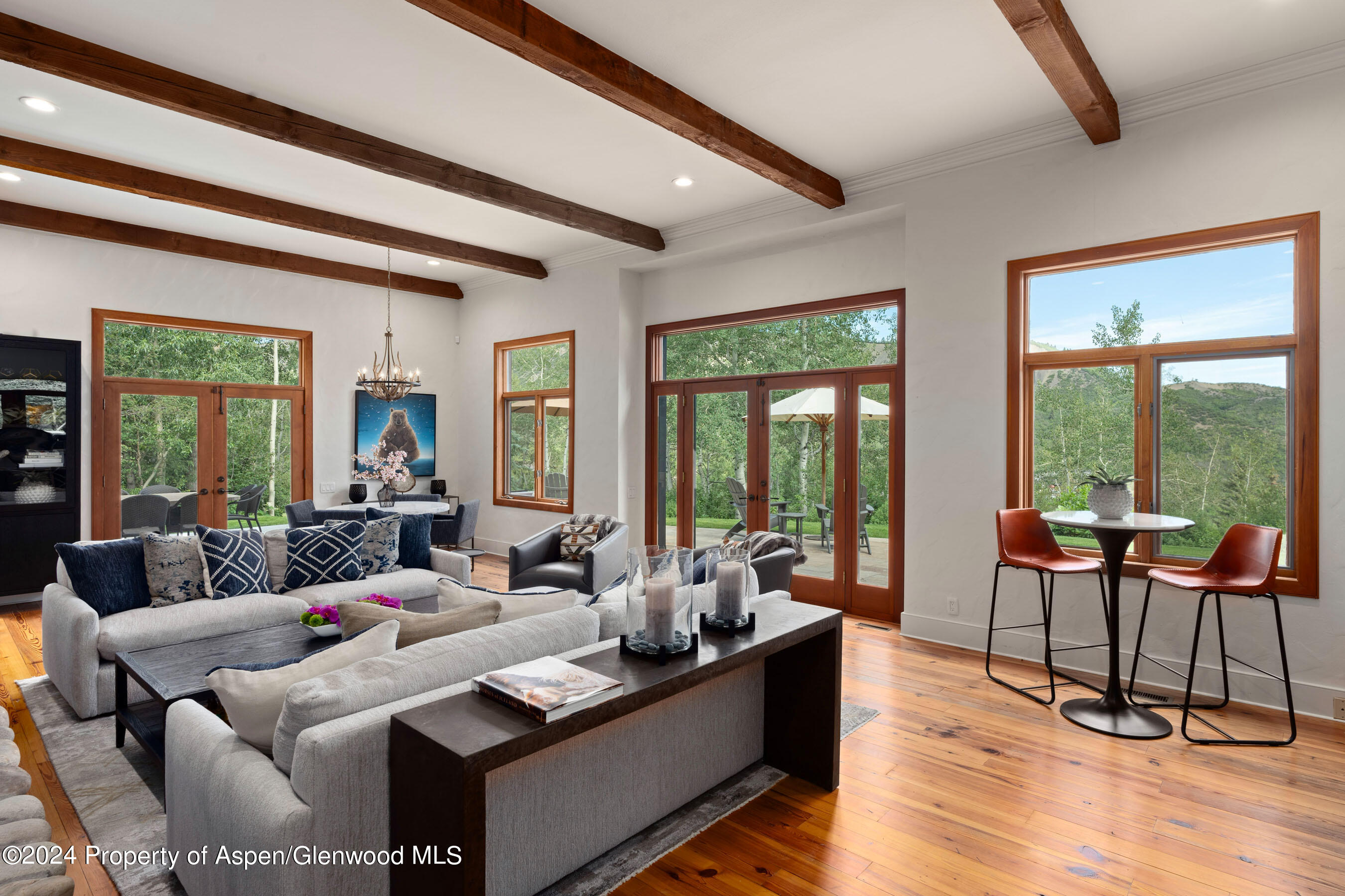 439 Maple Ridge Lane Snowmass Village, CO 81615 - Photo 10 of 42 Great Room