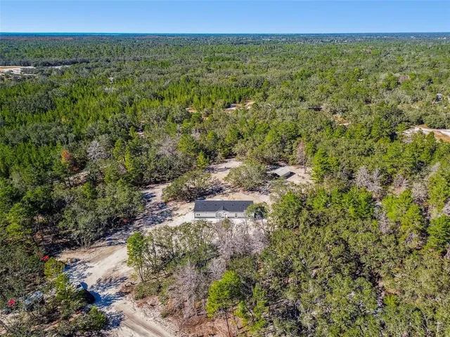 a view of a city with lush green forest
