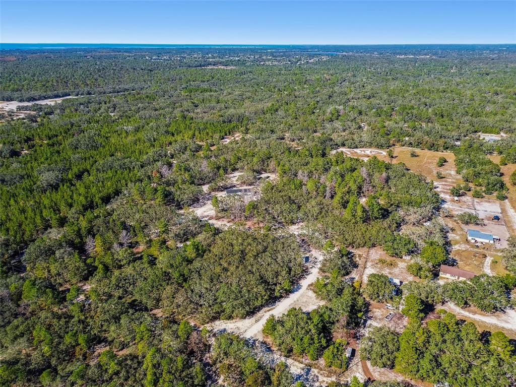 0 Gladwin Avenue Hudson, FL 34667 - Photo 77 of 100