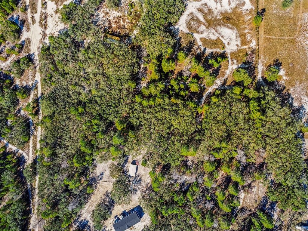 0 Gladwin Avenue Hudson, FL 34667 - Photo 82 of 100