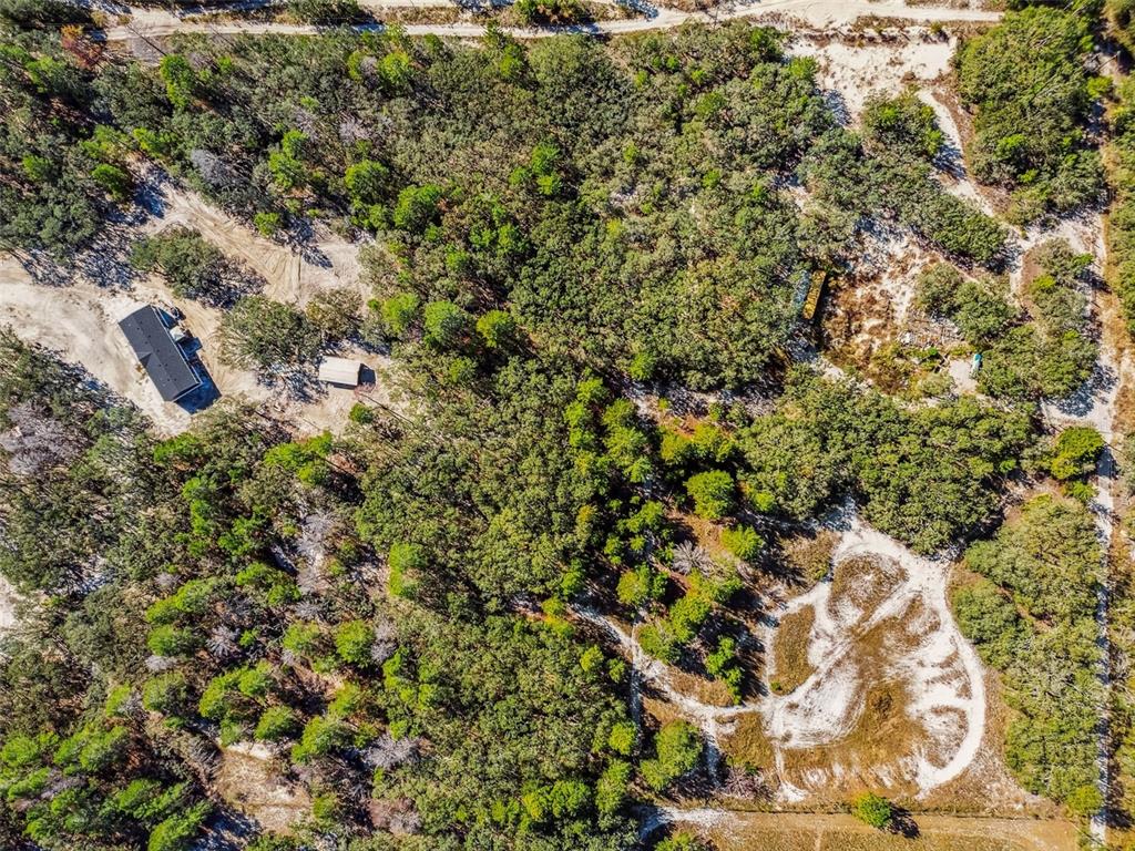 0 Gladwin Avenue Hudson, FL 34667 - Photo 84 of 100