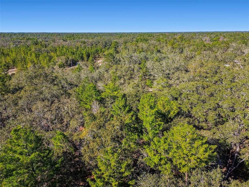 0 Gladwin Avenue Hudson, FL 34667 - Photo 100 of 100