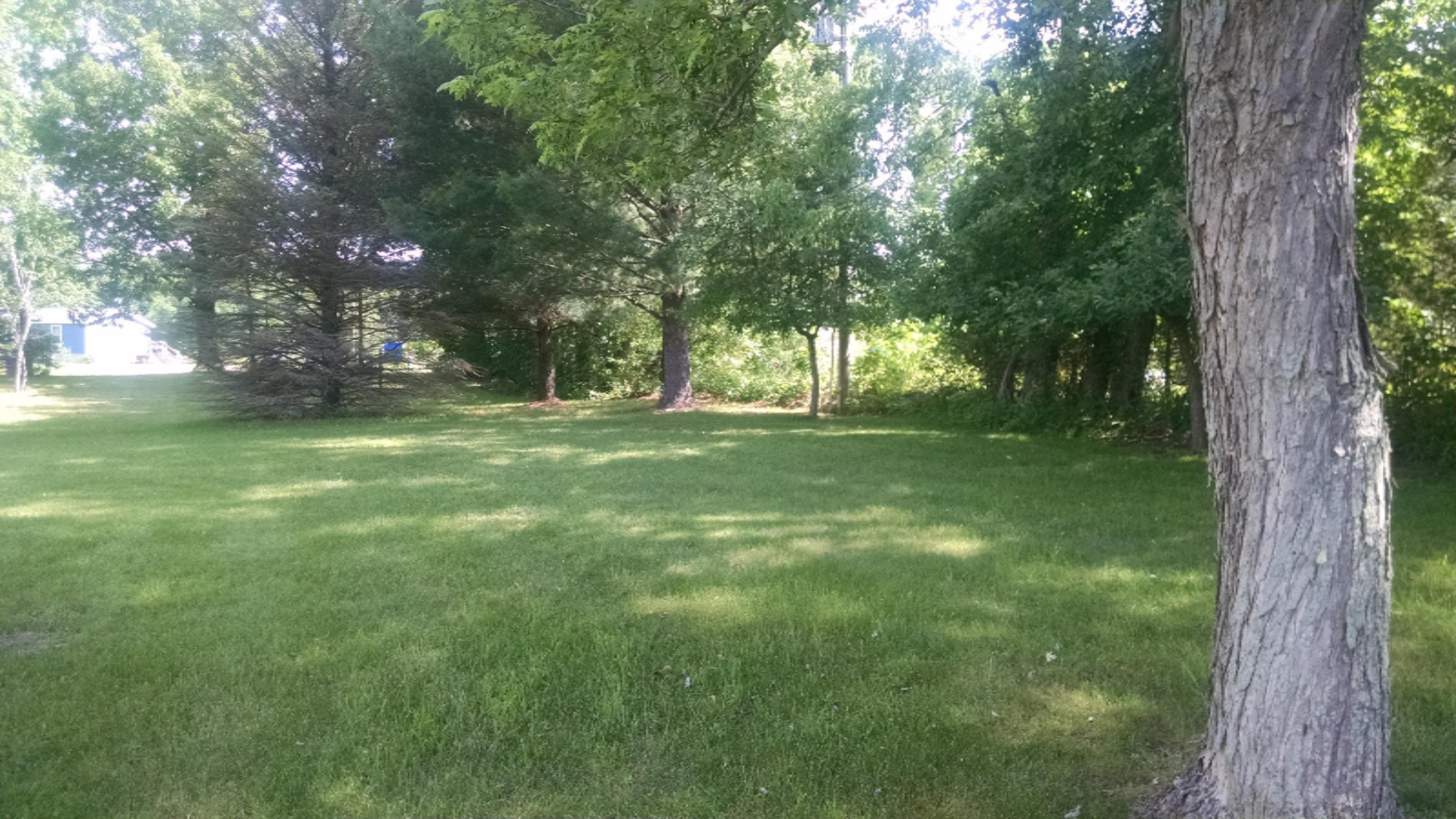 10236 Kimball Road Crystal, MI 48818 - Photo 21 of 22 IMG_20180607_110104434