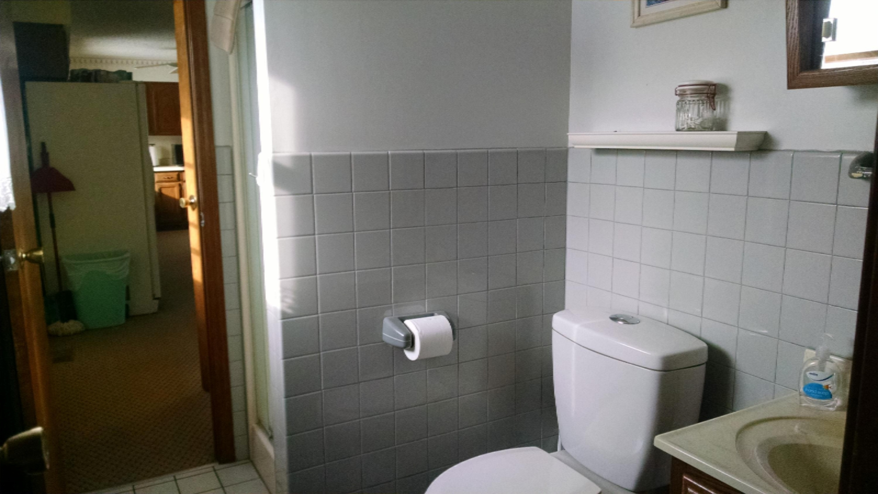 10236 Kimball Road Crystal, MI 48818 - Photo 10 of 22 IMG_20180119_111657983