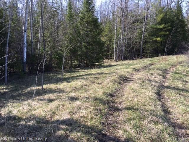 9635 Indian Reserve Road Alpena, MI 49707 - Photo 11 of 30 Gallery Image 11