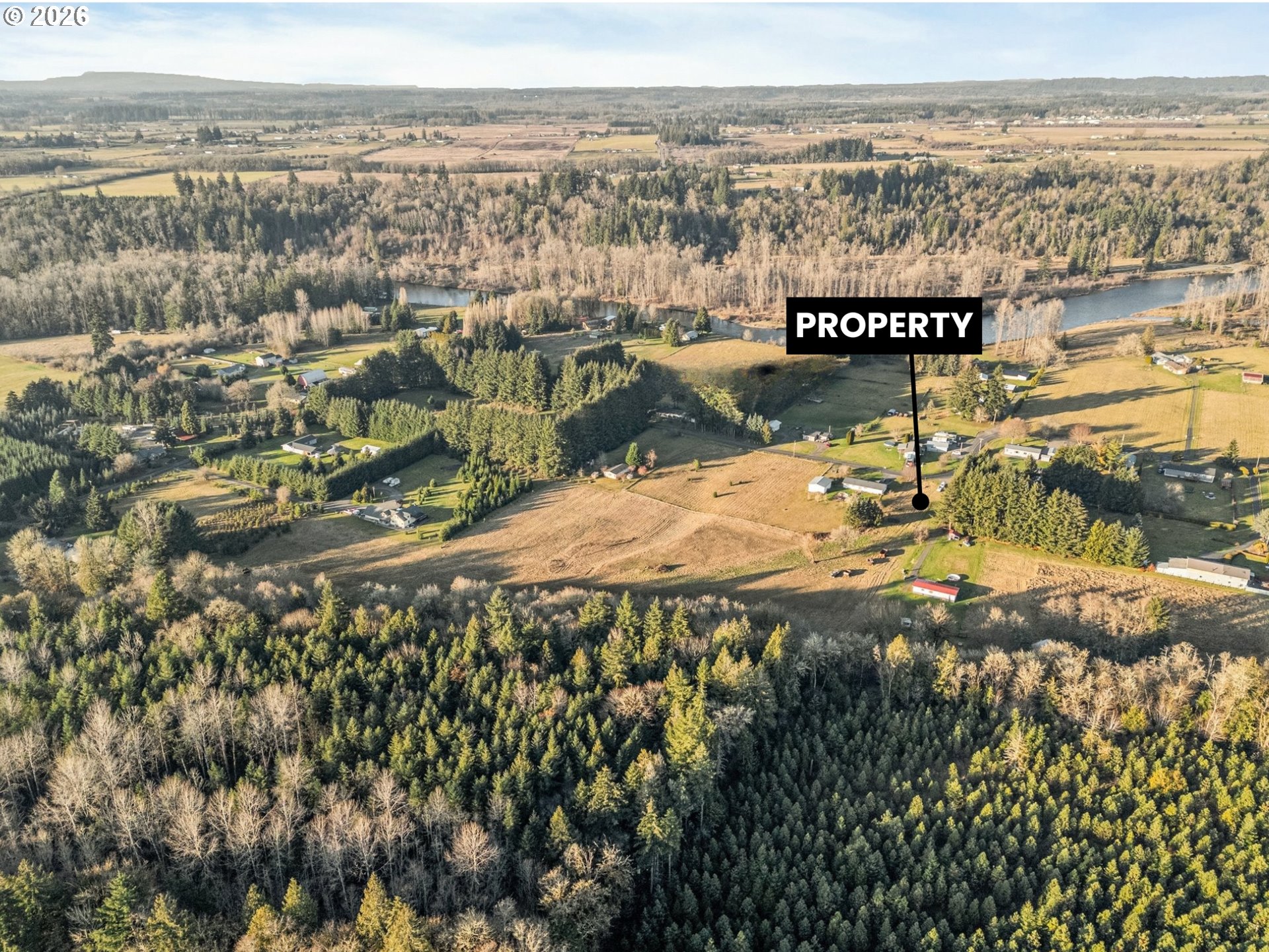 434 Collins Road, Unit B Toledo, WA 98591 - Photo 5 of 15