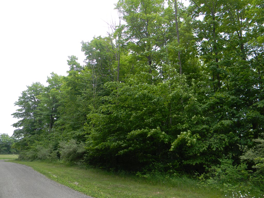Rasner Way Fish Creek, WI 54212 - Photo 14 of 14