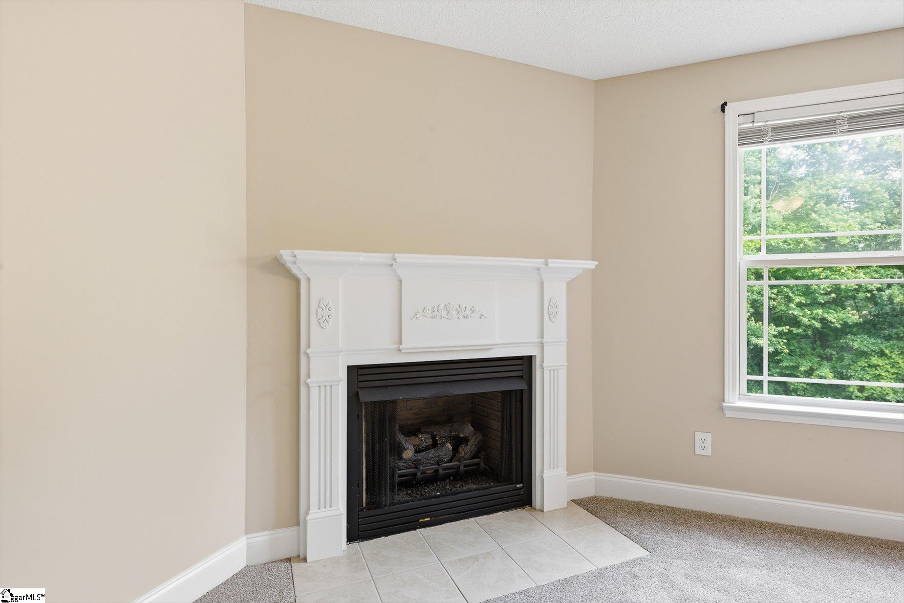 101 Tigris Way Greenville, SC 29607 - Photo 9 of 41