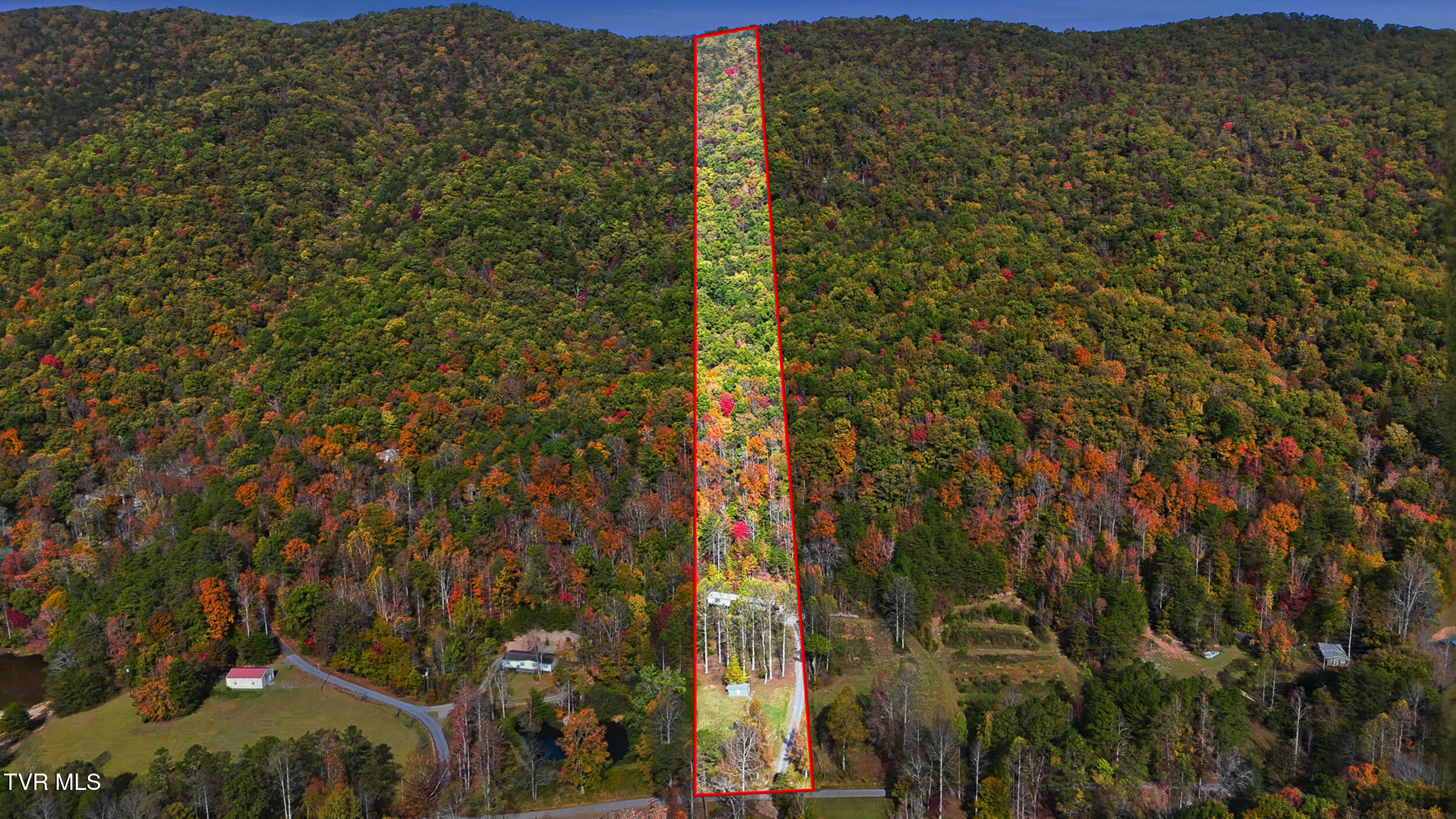 694 Heck Branch Road Rogersville, TN 37857 - Photo 7 of 13 dji_20251024112730_0420_d