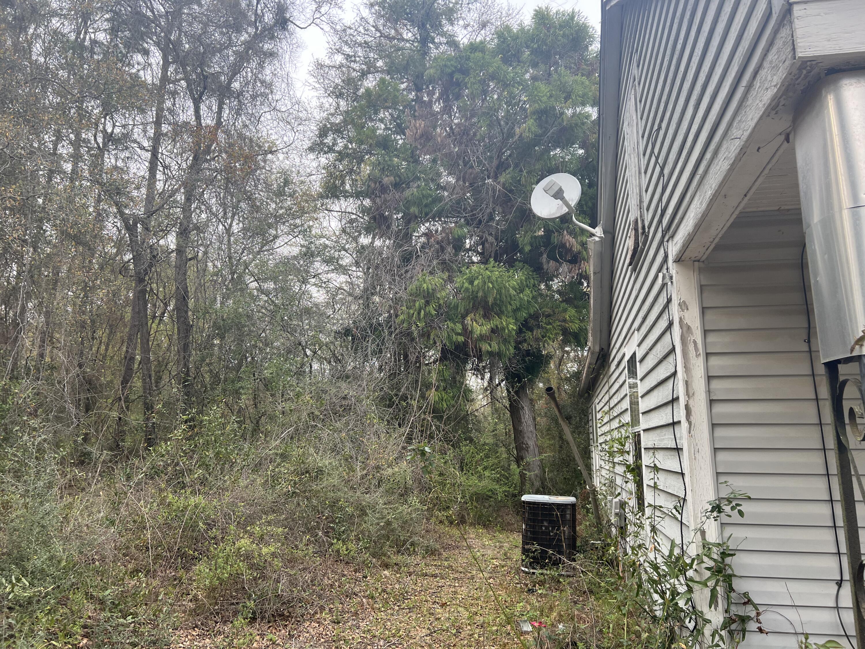 3211 Maple Street Crestview, FL 32539 - Photo 23 of 41 a picture of a tree