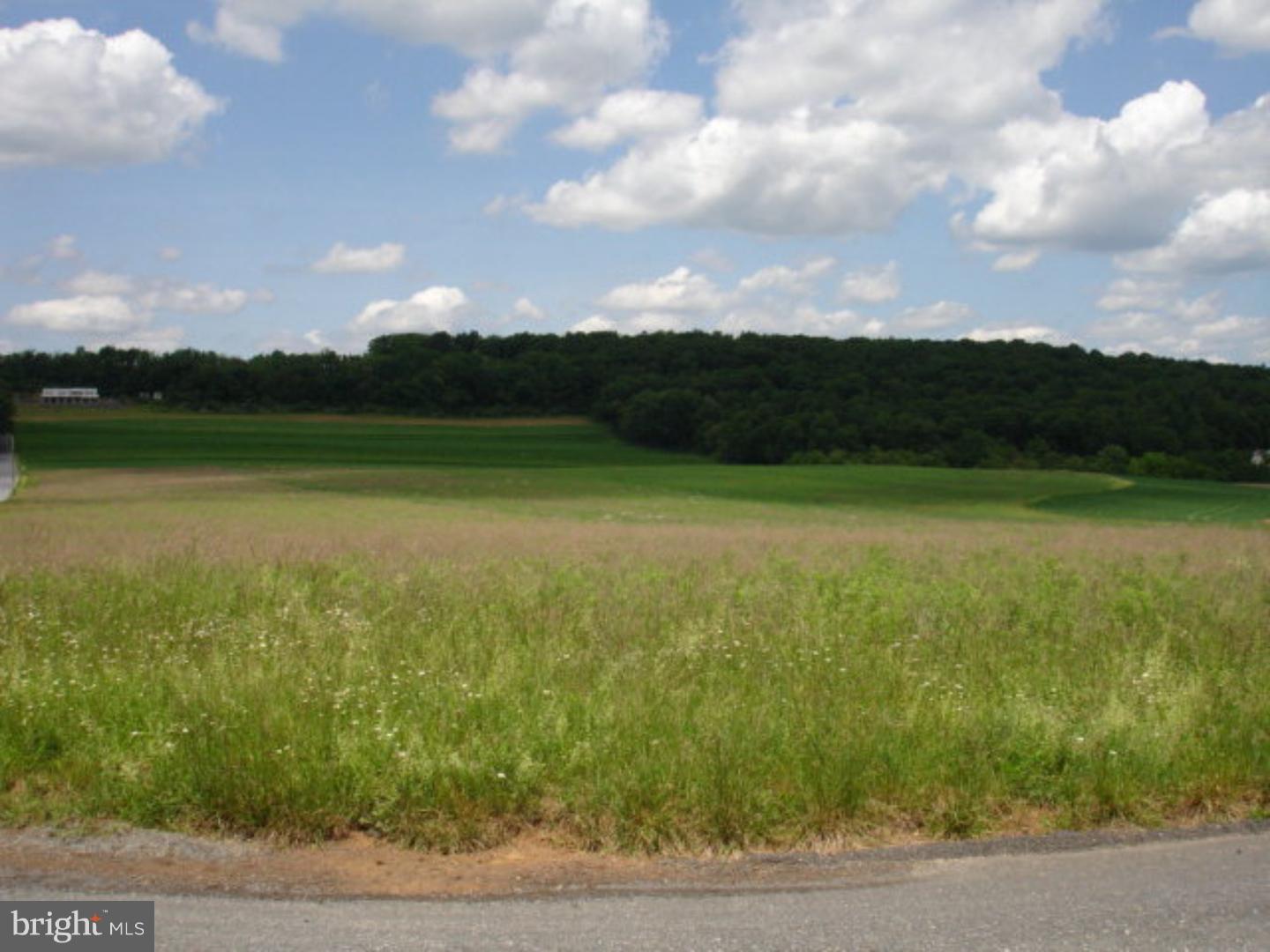 Lot #4 Winter Mountain Drive Andreas, PA 18211 - Photo 1 of 1 Gallery Image 1