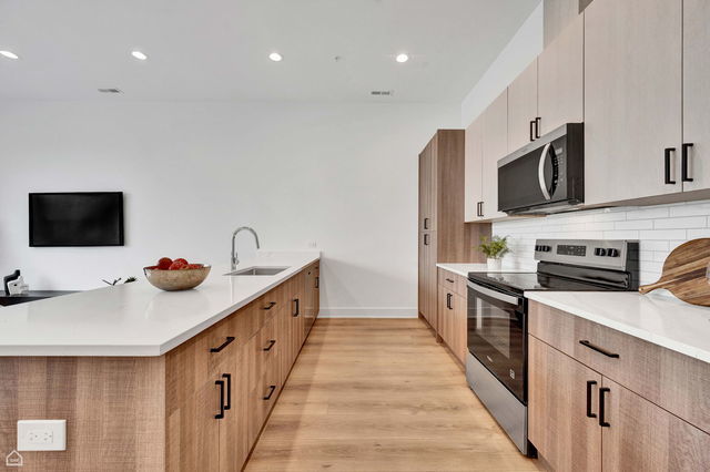 1615 West 13th Street, Unit 301 Chicago, IL 60608 - Photo 7 of 17