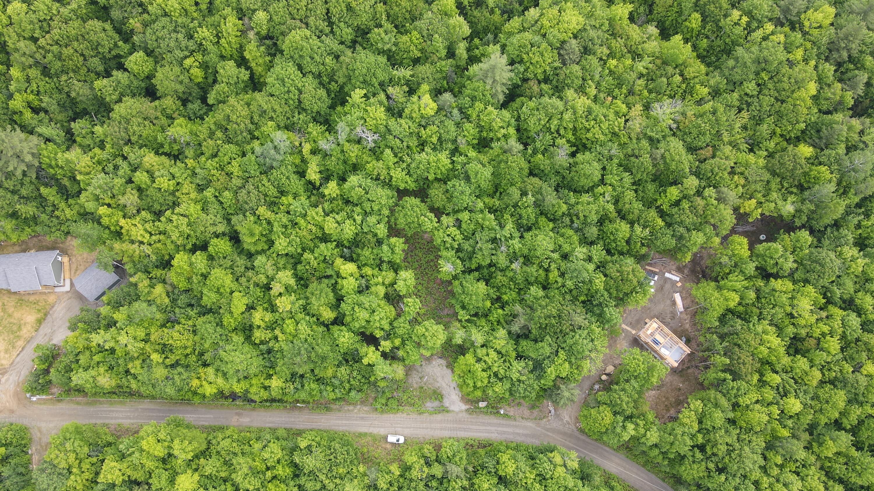 Lot #4 Mooseley Ridge Road Phillips, ME 04966 - Photo 11 of 12 dji_fly_20250611_090004_682_174964692349
