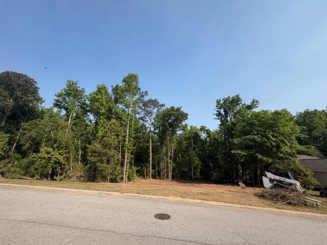 521 Stirling Bridge Road Grovetown, GA 30813 - Photo 6 of 10 IMG_3464