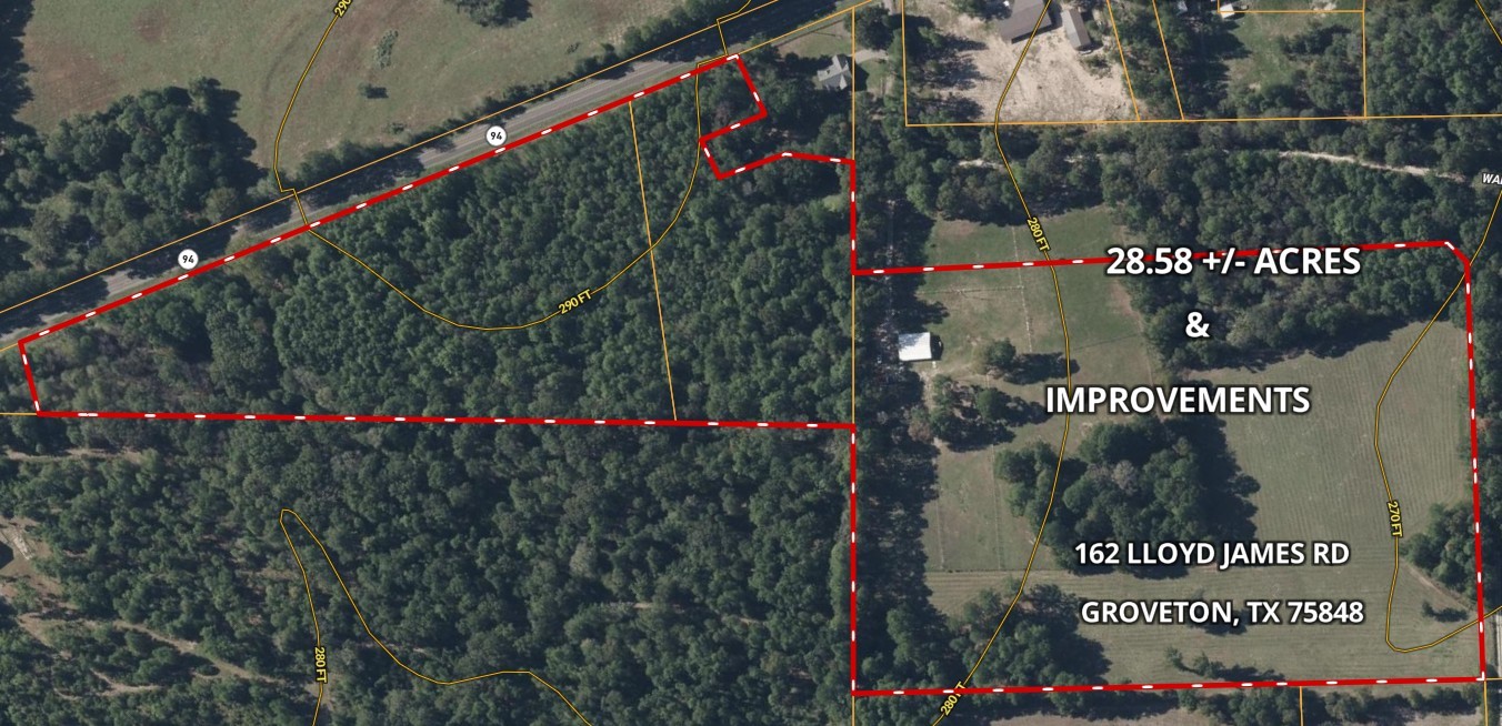 162 Lloyd James Road Groveton, TX 75845 - Photo 6 of 41